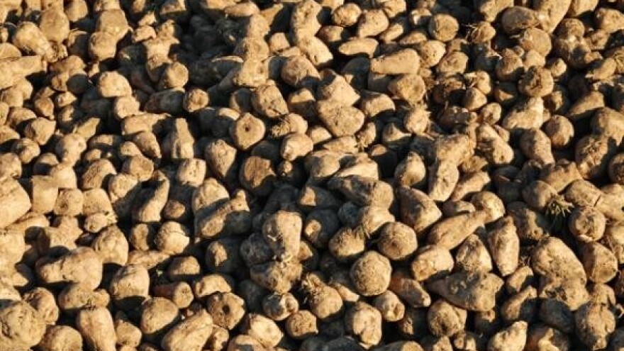 Novi proizvod Sladorane