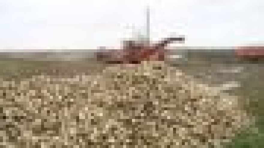 Od novca za šećernu repu još uvijek ništa