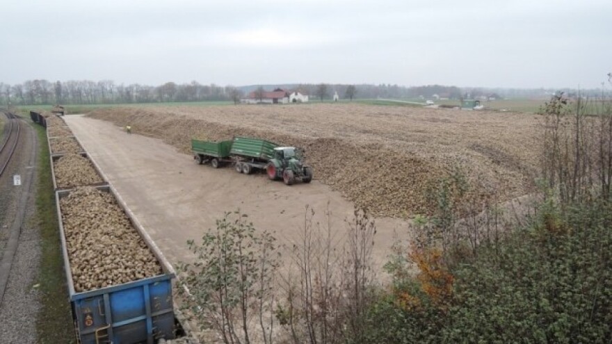 Ugovorena sjetva šećerne repe na 7.500 hektara