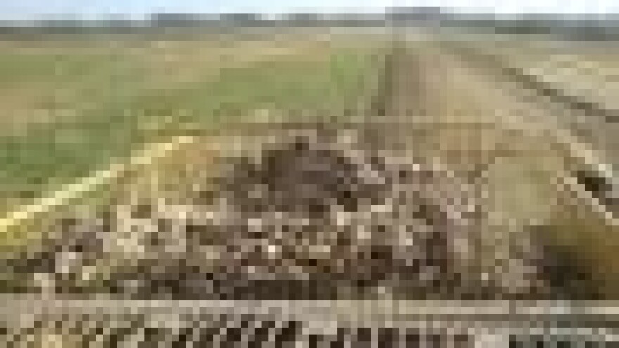 360 kuna tona šećerne repe?