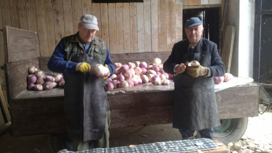 Pred nove vlasti zbog novca i otkupne cijene repe