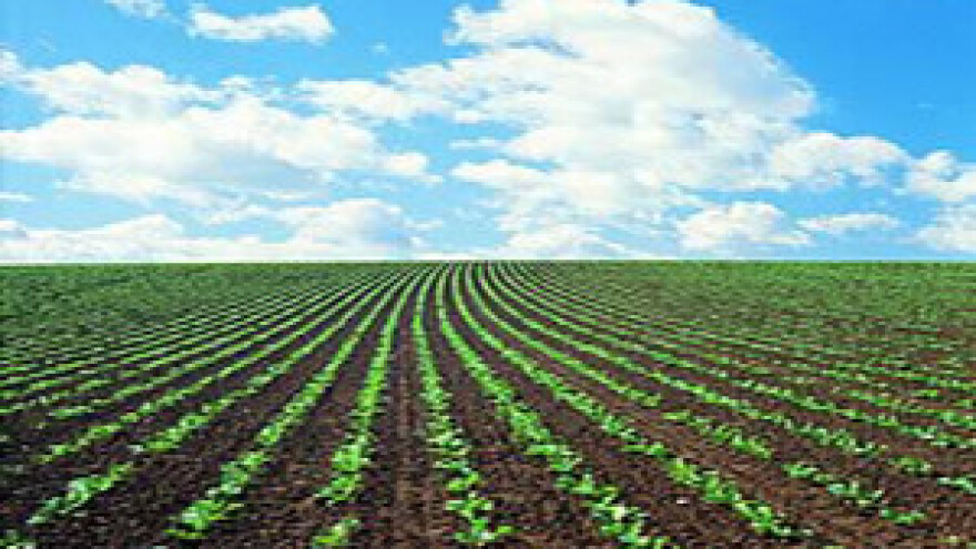 Ugovor o proizvodnji šećerne repe