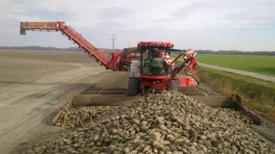 Otkupna cijena šećerne repe će biti viša
