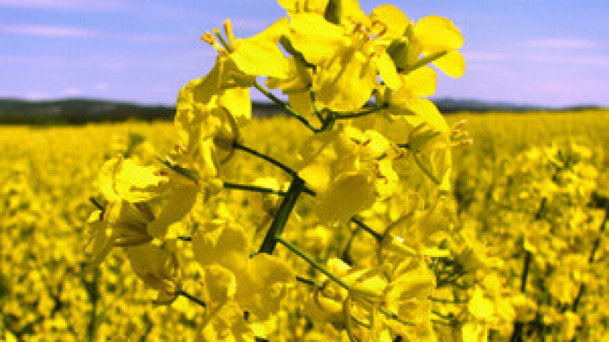 Kazne za neobrađivanje zemljišta