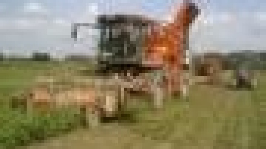 Osječka šećerana sjetvu repe ugovora u Vojvodini