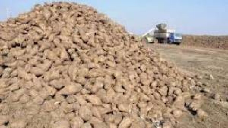 Šećera manje, proizvođačima više novca