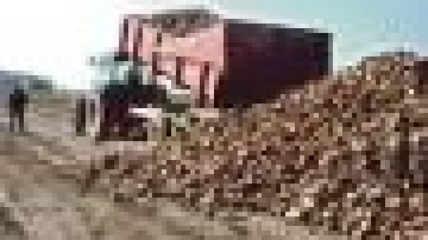 Još čekamo poticaje i grcamo u dugovima