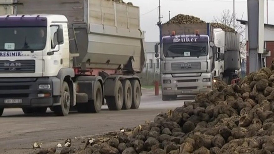 Raste cijena šećera - potpora uzgoju repe?