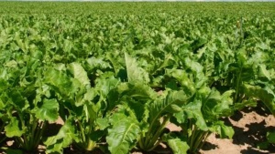 Cilj novog zakona je monopolizacija poljoprivredne proizvodnje