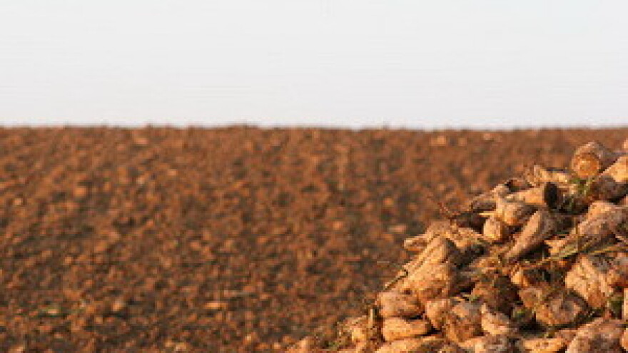 Problema ima - ali uvijek se sije