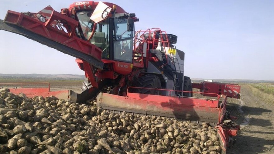 Puna isplata za šećernu repu do kraja godine?