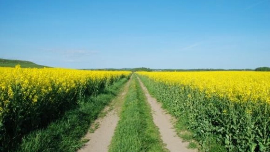 Biogorivima dižu cijenu na crpkama s početkom srpnja