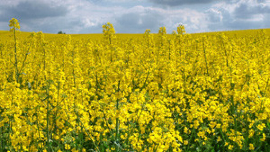 Hektar u Hrvatskoj 10 puta jeftiniji nego u Europi
