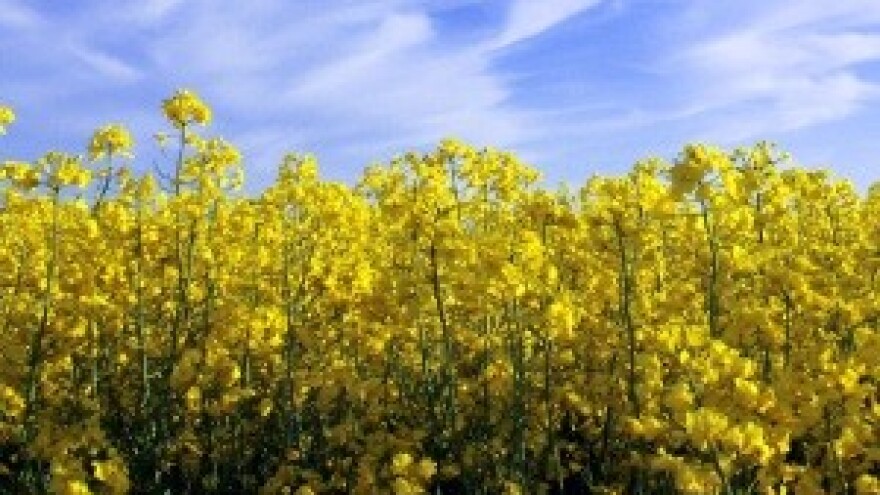 Zbog duga državi 14 tisuća poljoprivrednika i ribara bez poticaja