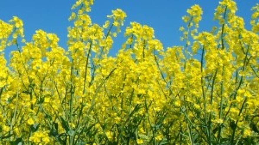 Priručnik za poljoprivredna gospodarstva