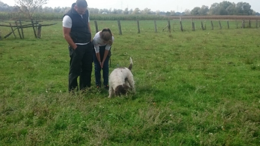 Kontinentalni dio Hrvatske bogatiji tartufima od Istre?