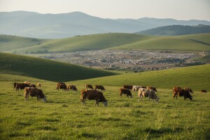 Rešavanje problema otpada u Zlatiborskom okrugu