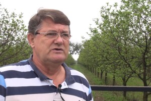 Zbog jesenskog cvjetanja voćki iduće sezone očekuje se slabiji urod
