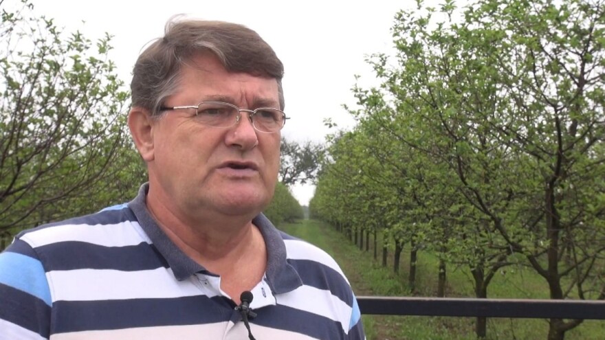 Zbog jesenskog cvjetanja voćki iduće sezone očekuje se slabiji urod