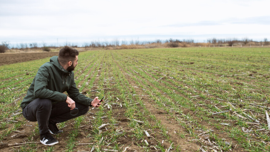 Novi ZPP ugrožava sigurnost i prihod poljoprivrednika - upozorava Revizorski sud EU