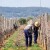 Rezidba je počela, ali tko će rezati? Hrvatski voćari i vinogradari u borbi s nestašicom radne snage