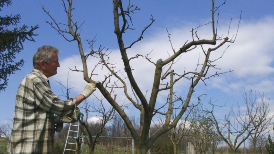 Prijave na edukacije o financiranju proizvodnje