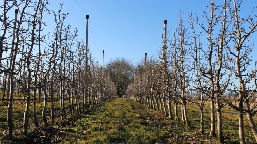 HUO voćarskoj zajednici: Osiguratelji su obvezni kvalitetno upravljati rizicima