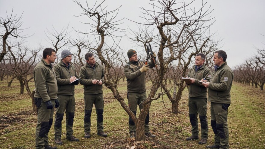 Rezidba ljeske u Daruvaru 2009