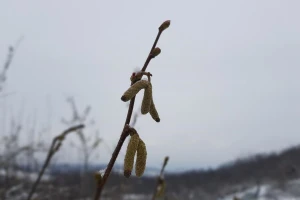 Oblačan i hladan vikend pred nama, ponegdje i do -10°C