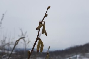 Oblačan i hladan vikend pred nama, ponegdje i do -10°C