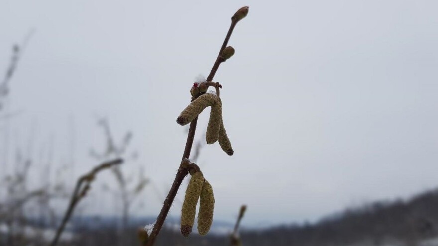 Oblačan i hladan vikend pred nama, ponegdje i do -10°C