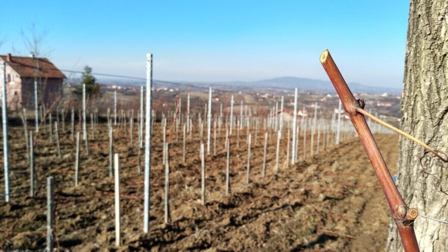 U digitalnom smo dobu, no poljoprivredi slijedi povratak korijenima?