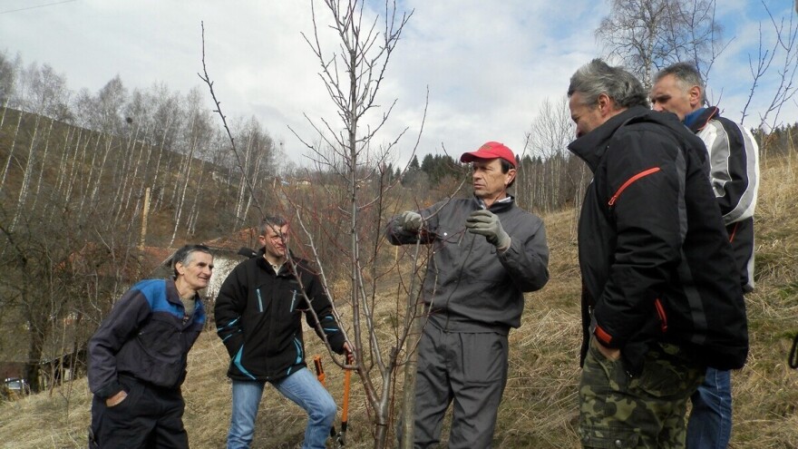 Do kraja ovog mjeseca prijavite se za besplatnu zimsku školu rezidbe