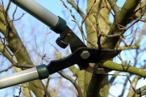 Voćari i vinogradari uhvatili se posla