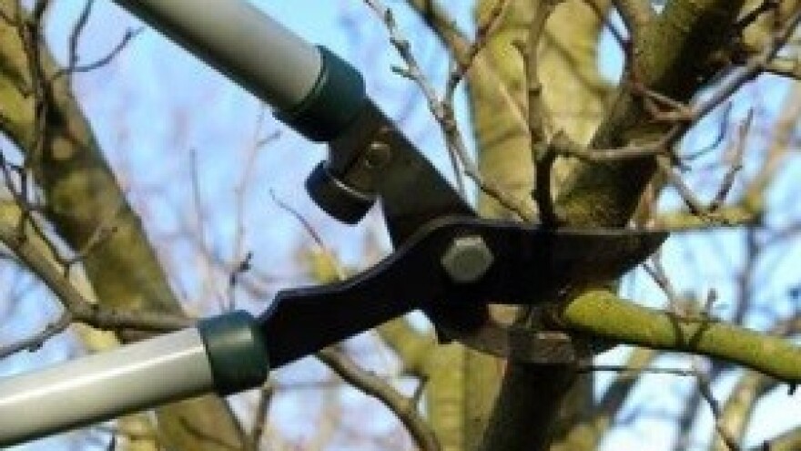 Voćari i vinogradari uhvatili se posla