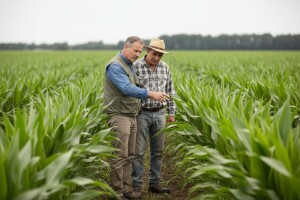 Rezime 5. tjedna Bayerovih Agro Dana