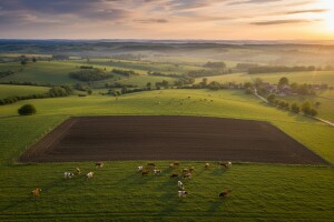Rezultati izravne dodjele državnog zemljišta