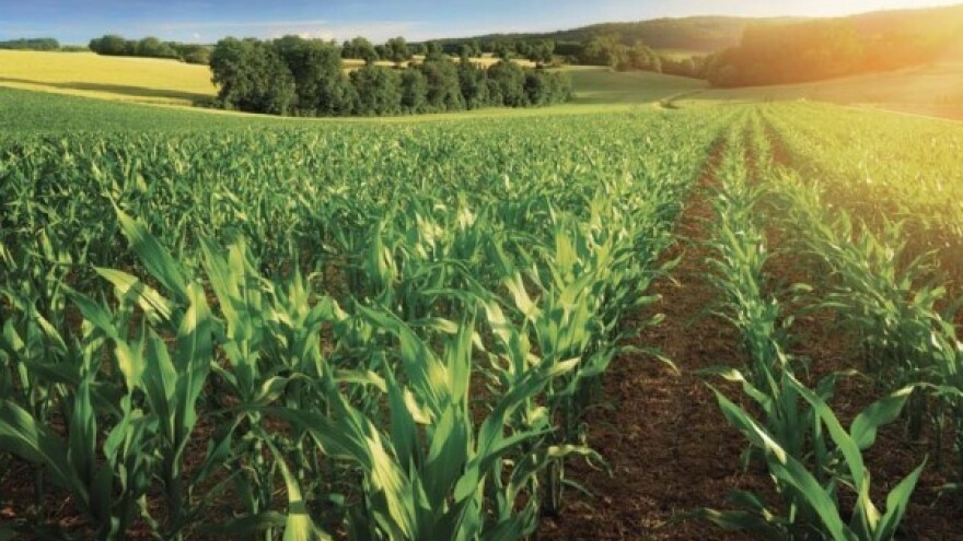 Rezultati pokusa i preporuke za sezonu 2015/16!