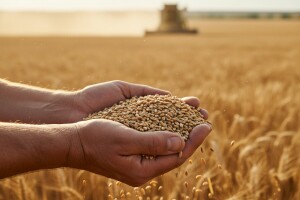 Rezultati uroda pšenice 2014/2015!