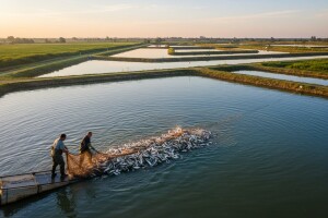 RH spremna za korištenje EU fonda u akvakulturi