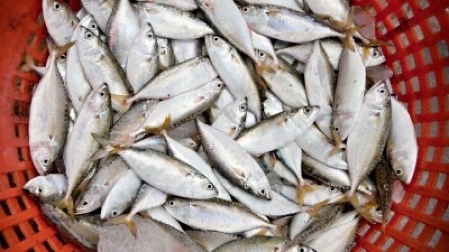 Privremeno zabranjena proizvodnja u Adria d.d. iz Zadra