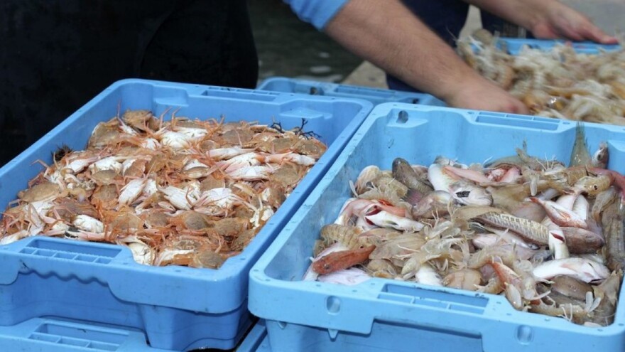 Brexit: Zbog dodatne birokracije kamioni s ribom i morskim plodovima zapeli na carini