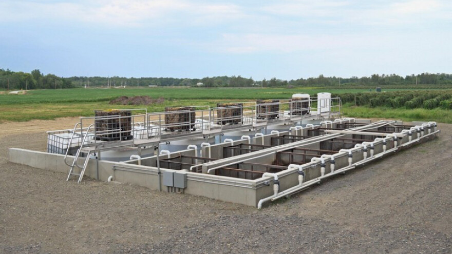 Hrane ribu otpadom iz destilerije