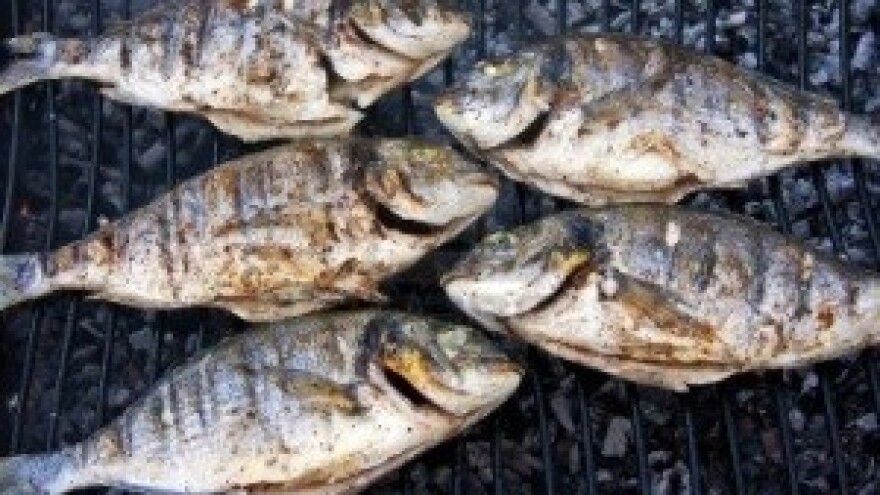 Gnam Gnam Fest u Novigradu