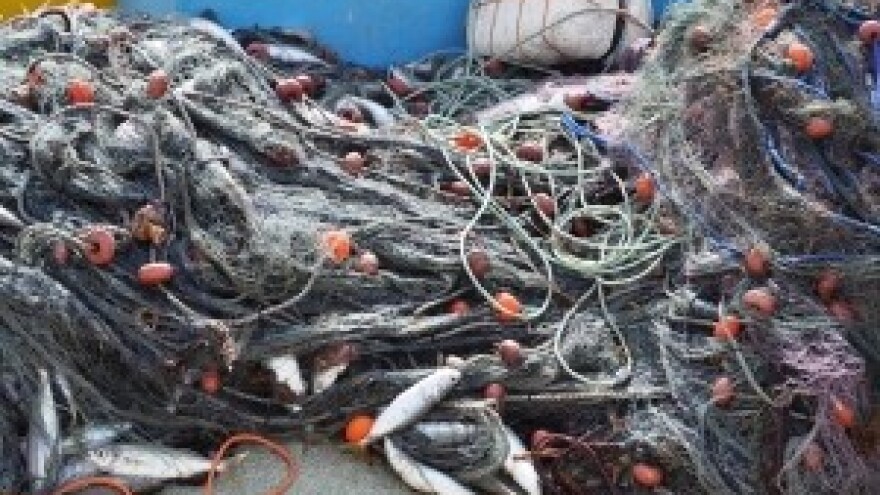 Mi se odrekli gospodarskog pojasa, a Europska komisija predlaže da ga uvedemo