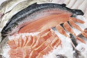 Fish International 2014.