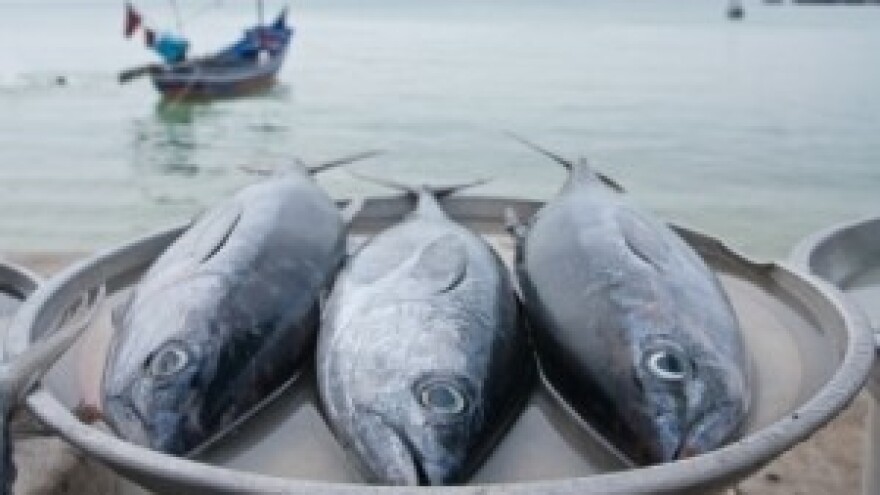 Pravilnik vezan za sufinanciranje iz EU fondova