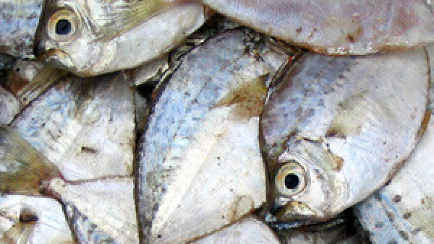 Još 12 milijuna kuna isplaćeno za 3 IPARD projekta