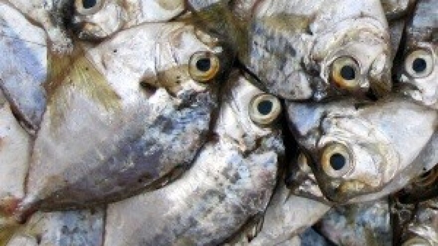 Sve teže do domaćih namirnica