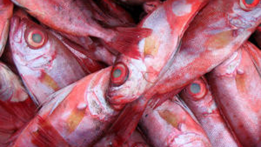 Postaje li Jabučka kotlina područjem od mediteranskog interesa pod posebnom zaštitom